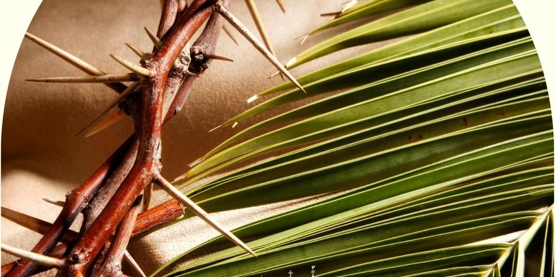 2026_03_Uebersicht_Palmsonntag