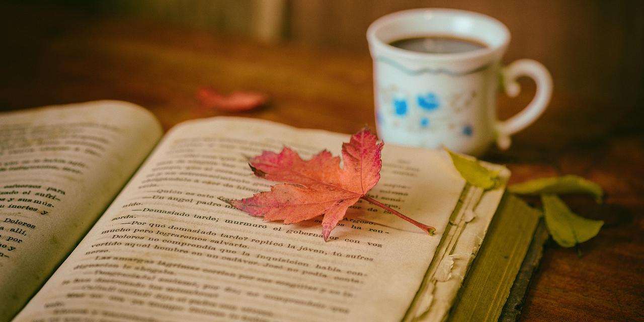 leaves-1076307_1280